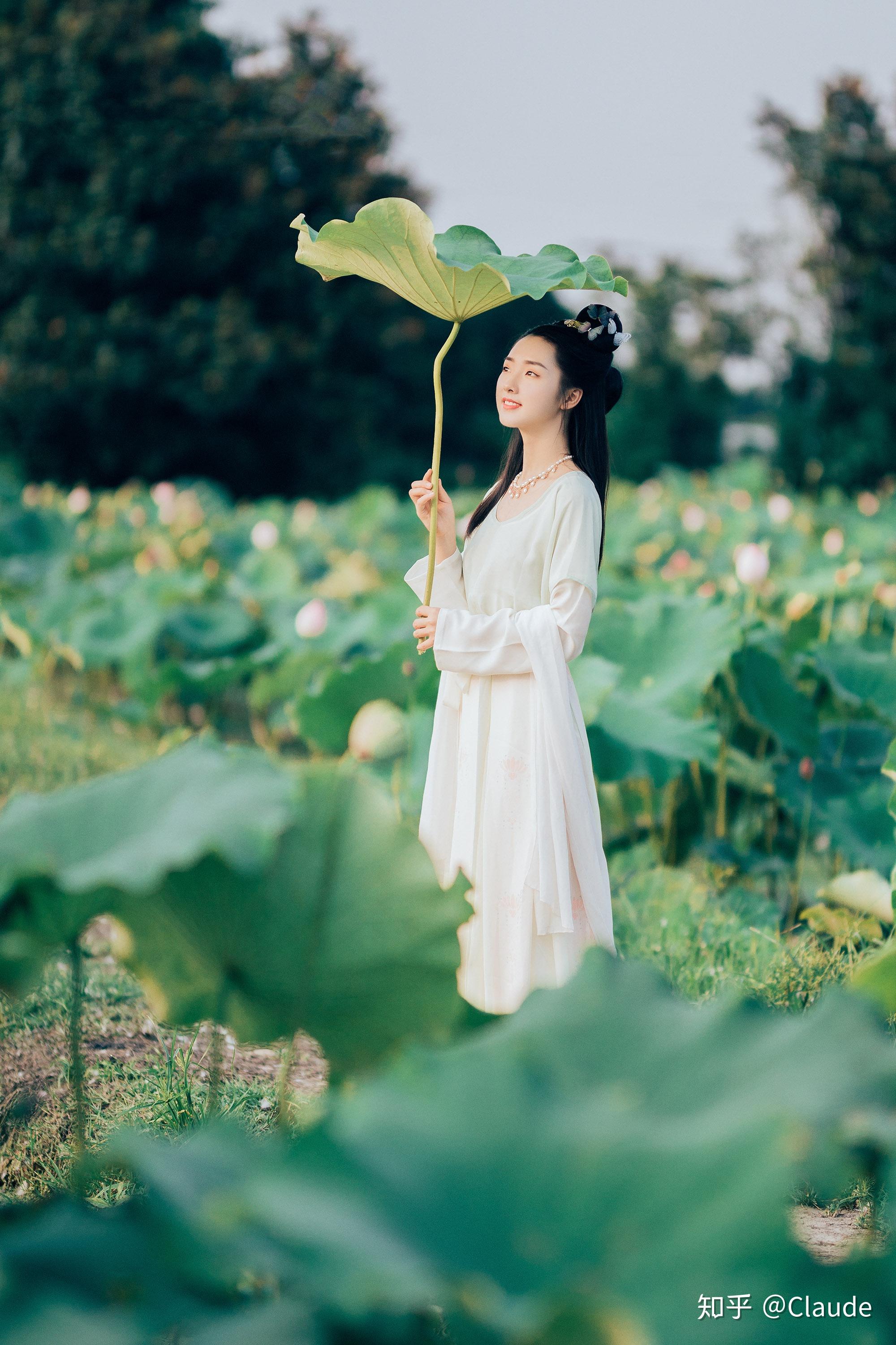 汉服作品--采莲赋