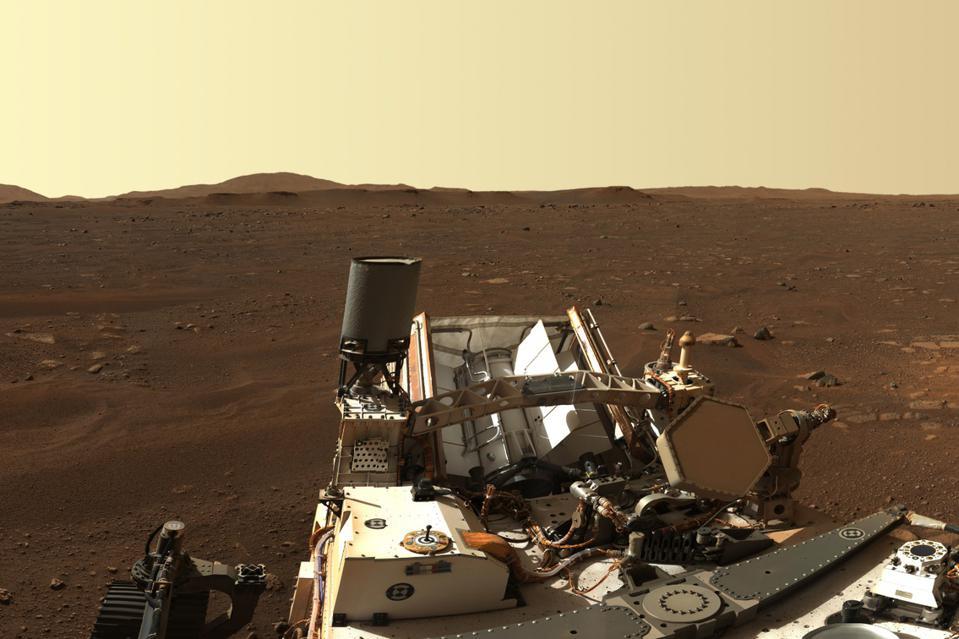 毅力号在火星发现一头海豹这次照片很清晰原来是一个风雕