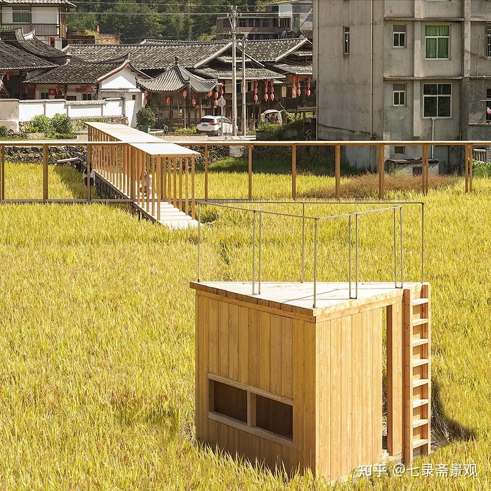 乡村振兴下的稻田里的城乡共建模式