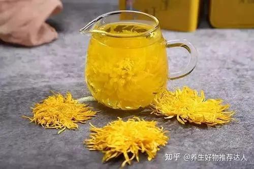 金絲皇菊花茶的功效與作用及禁忌看看你喝對了嗎