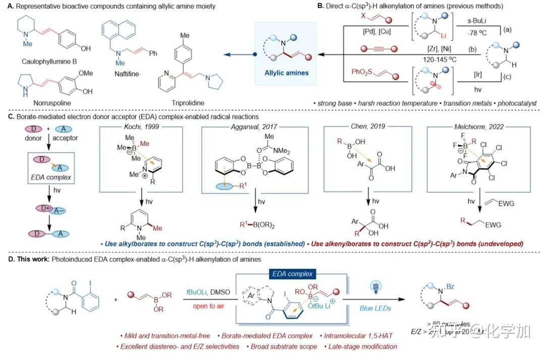 Angew: 光诱导EDA复合物促进环状胺α-C(sp³)-H烯基化 - 知乎