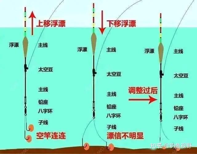 夏天钓鱼:如何精准钓底不跑鱼?学会这几招精准钓底 - 知乎