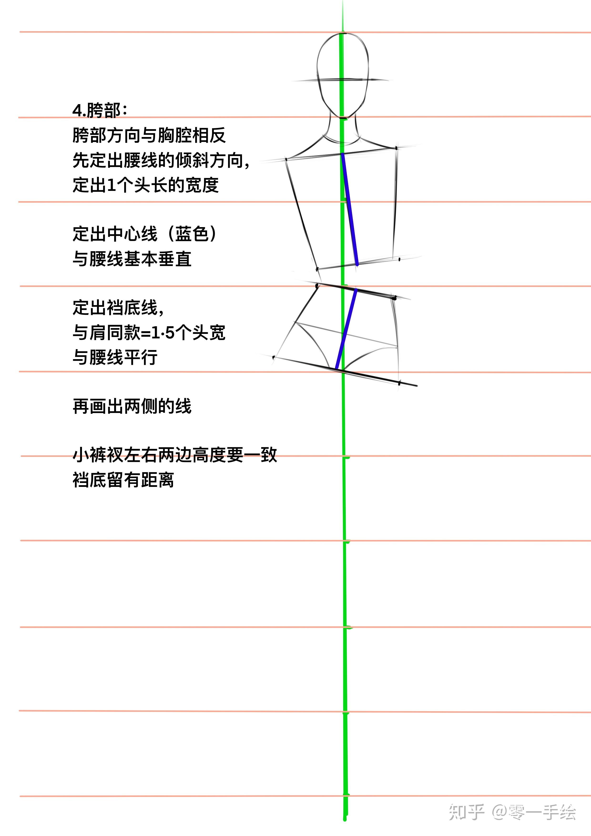 上半身動態中心線:把人體一分為二,人體動作不同,中心線有變化重心線