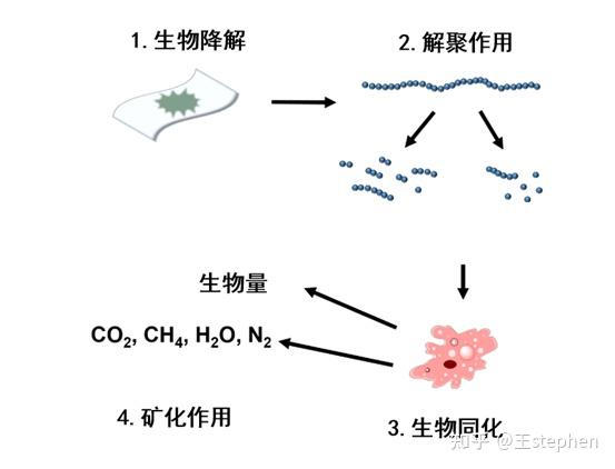 一般来说,可生物降解塑料降解过程可以分为四个步骤:生物降解,解聚