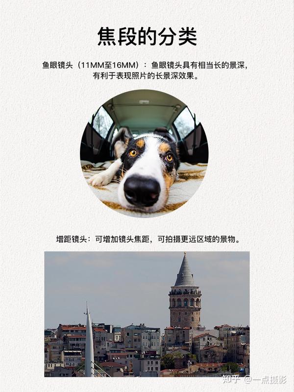 多角度镜头捕捉赛场突发事件完整记录争议事件全过程