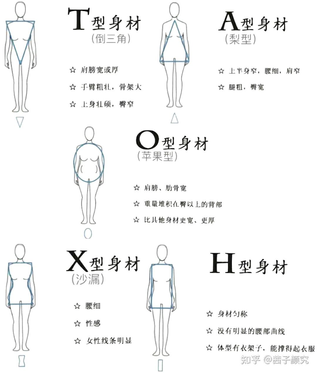 五种常见人体体型图片