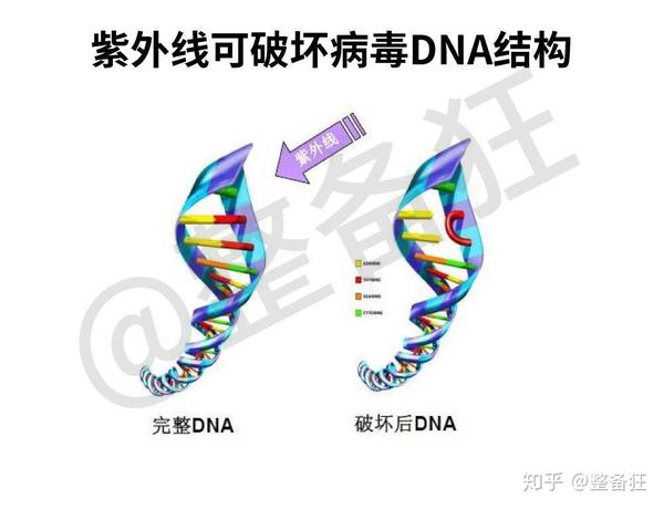 紫外线杀病毒图片