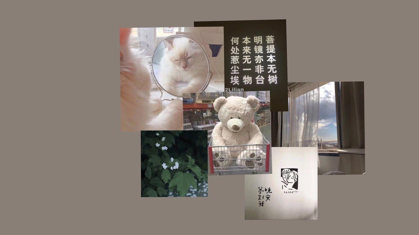 可以推荐下低调温柔又不俗气的笔记本壁纸嘛哈哈哈哈