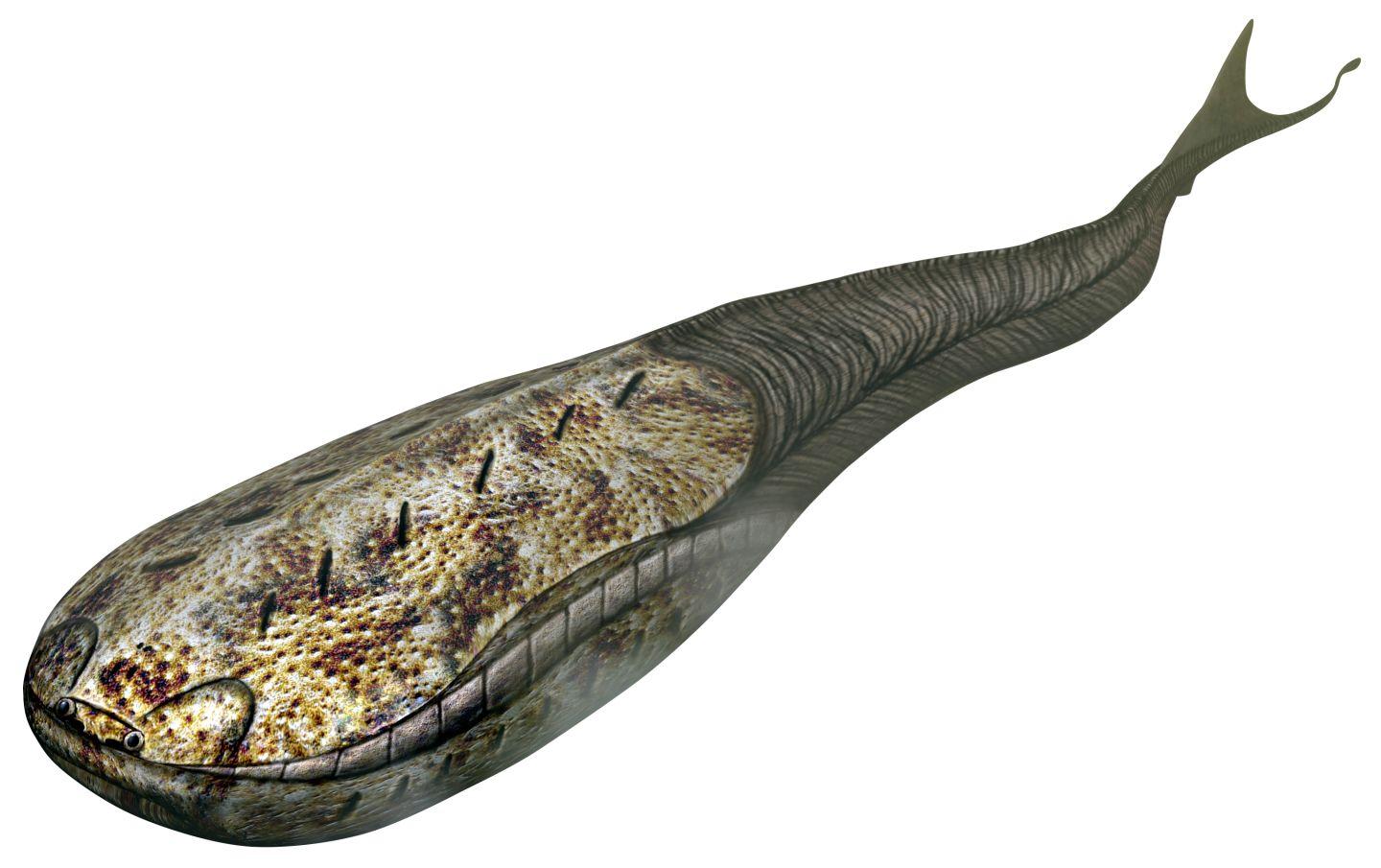 地球演义甲胄记上桎梏舞者