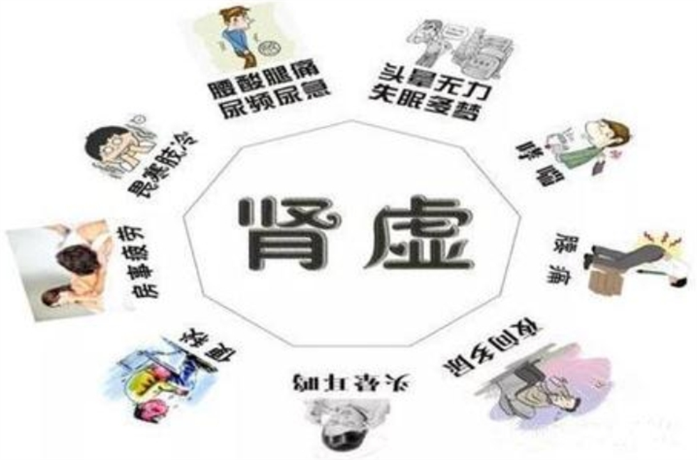 男女肾虚有何不同？针对性补肾，让你重拾健康活力！ - 知乎
