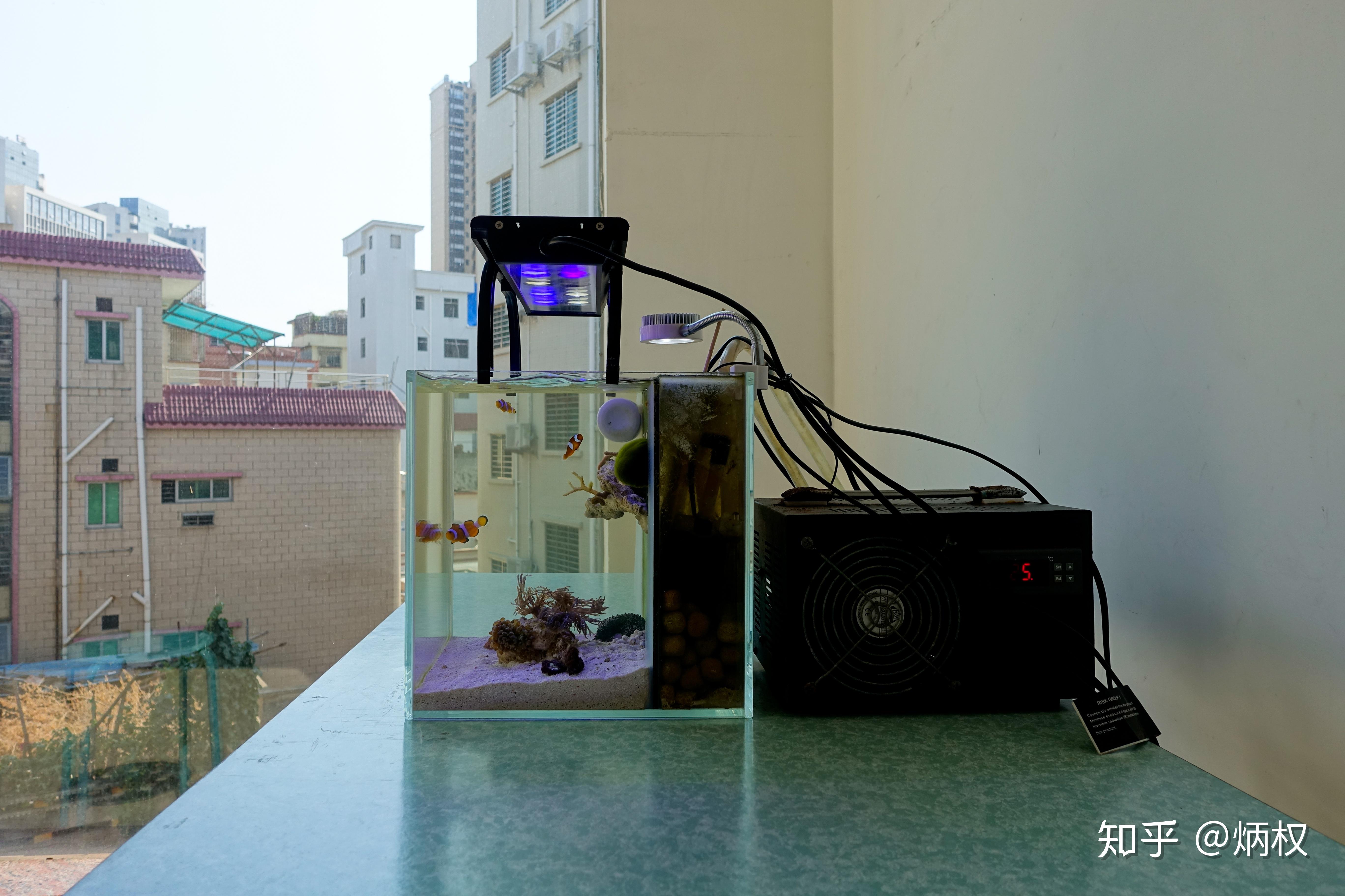 缸课有关于微型海缸狠狠地分享给你