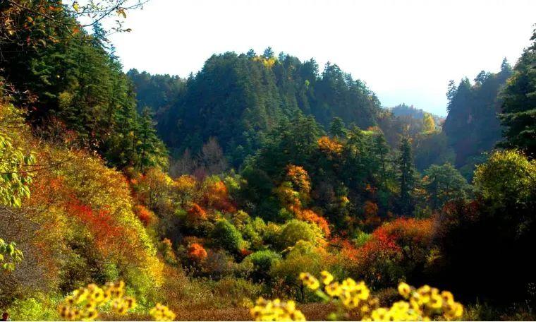 渭源天井峽景區@岷縣二郎山森林公園@貴清山@露骨山@露骨山@貴清山