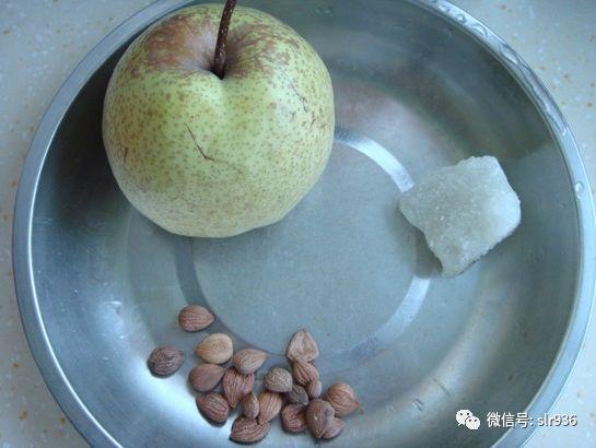一甜一苦 南杏北杏养生大不同! - 知乎