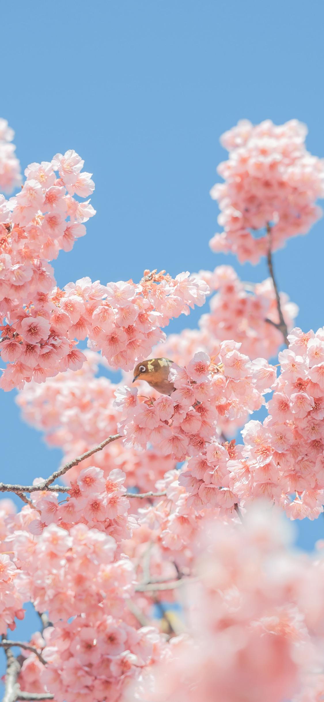 你的微信个性签名是什么呢?