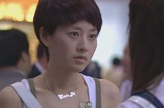 出演过许多深入人心的角色,《还珠格格3》中的紫薇,《奋斗》中的夏琳