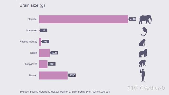 一个国家的人口从哪些方面影响综合国力