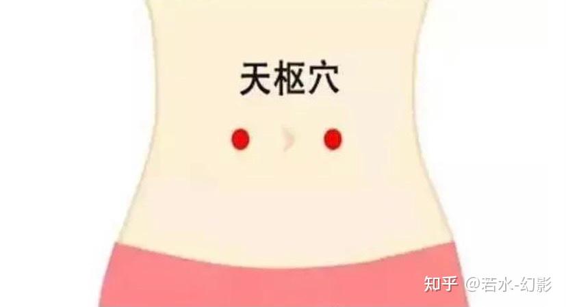 穴位小常识-天枢穴 - 知乎