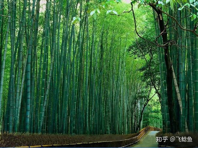 上海周边两日游景点推荐?