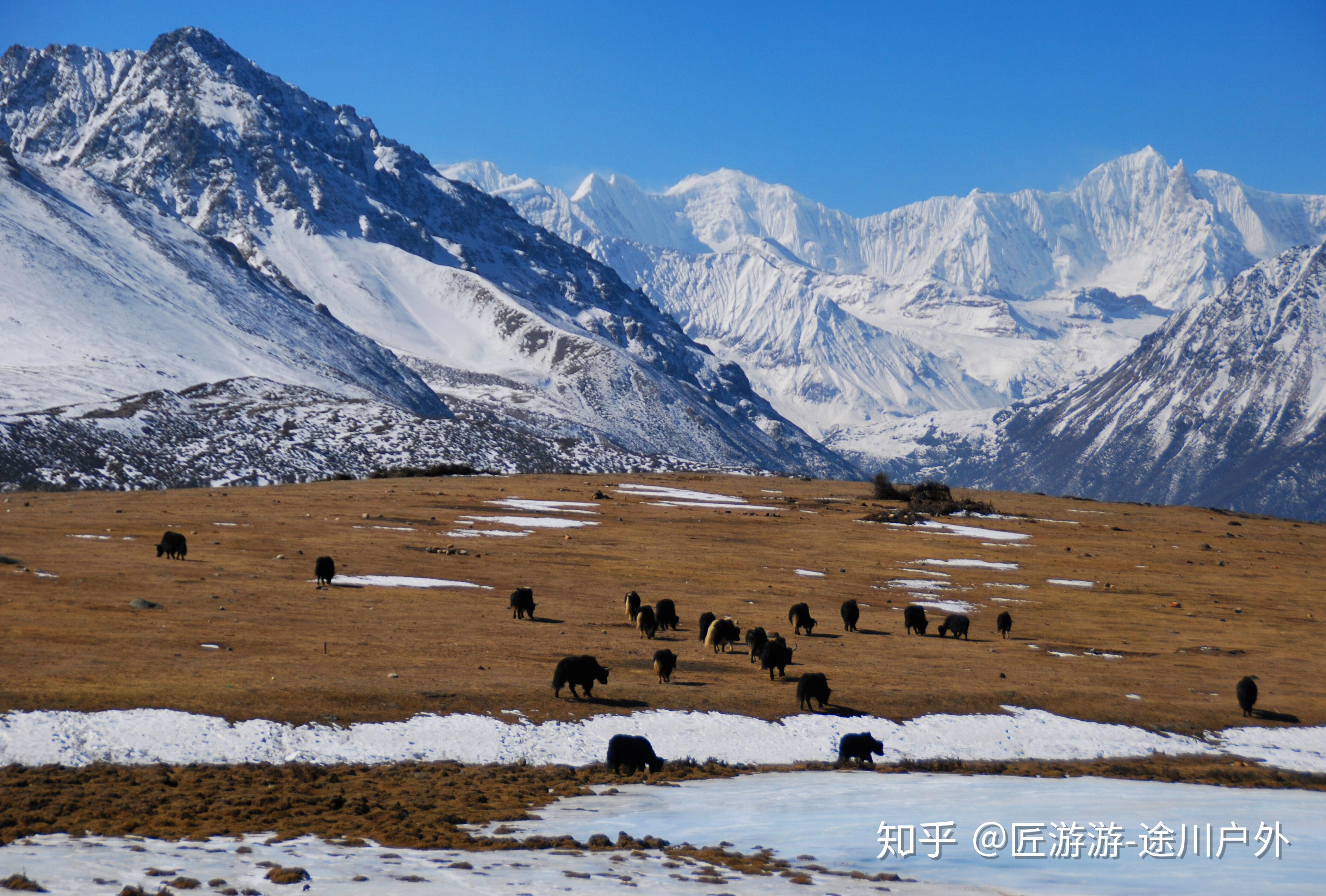 从西藏察隅自驾到察瓦龙，有230公里，要经过三座4千米以上的垭口