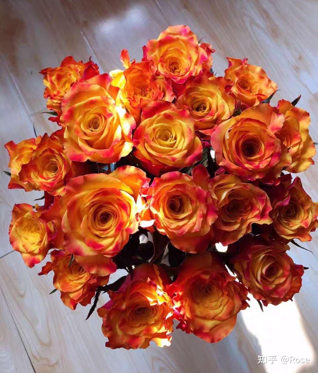 今天上新的两款金色系列玫瑰～金色海岸,通体明亮热情的亮橙色,让人