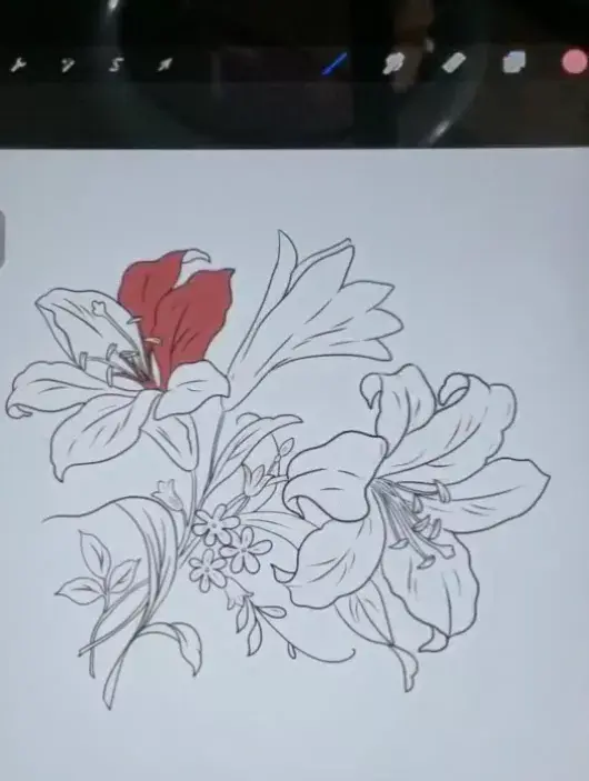 10个超实用procreate小技巧,大大提高绘画效率! - 知乎