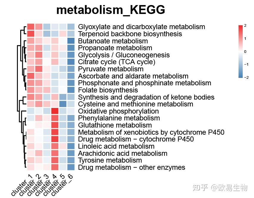 scMetabolism 单细胞代谢分析 代谢分析 - 知乎
