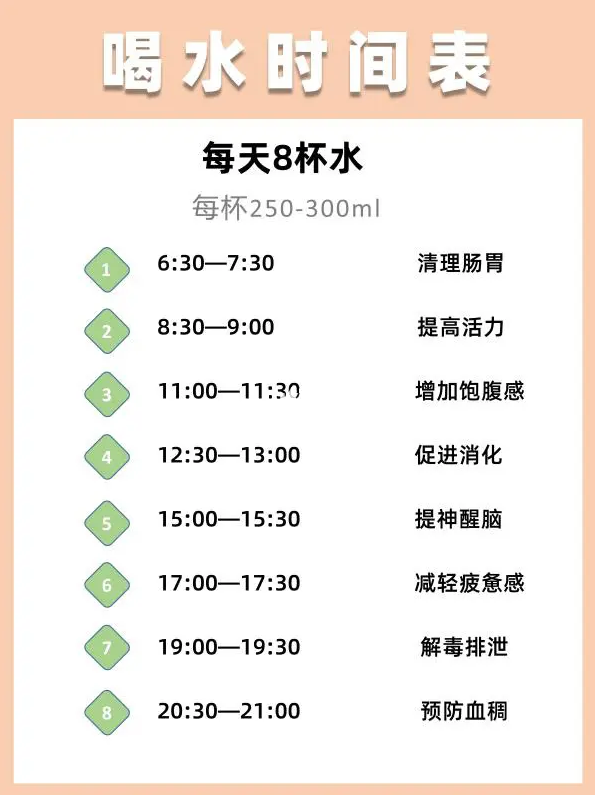 正确的学生喝水时间表图片