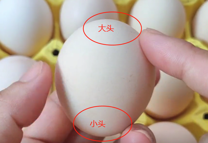 因为鸡蛋的源头部位有一个气室,也就是有一段是空的,没有鸡蛋液的