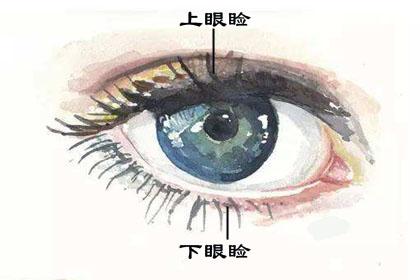 孩子倒睫乱睫怎么办 知乎 孩子倒睫乱睫怎么办 知乎