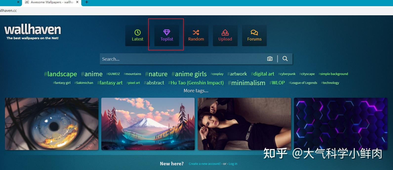 Python爬虫Wallhaven精美4k壁纸 - 知乎