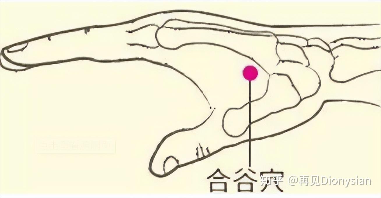 和于大夫从零学中医针灸篇第二篇开四关
