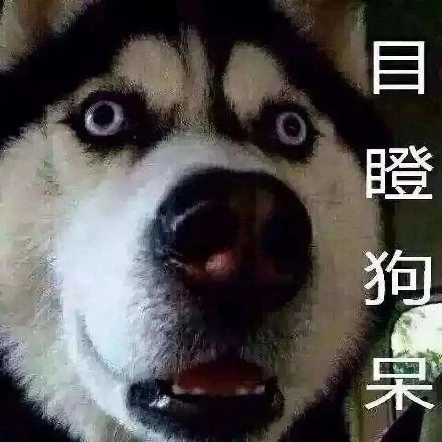 成语什么目瞪_目瞪狗呆图片(5)