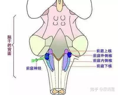 v2-b8ccb6e03432436f5f4815c2081c8e2f_b.jpg
