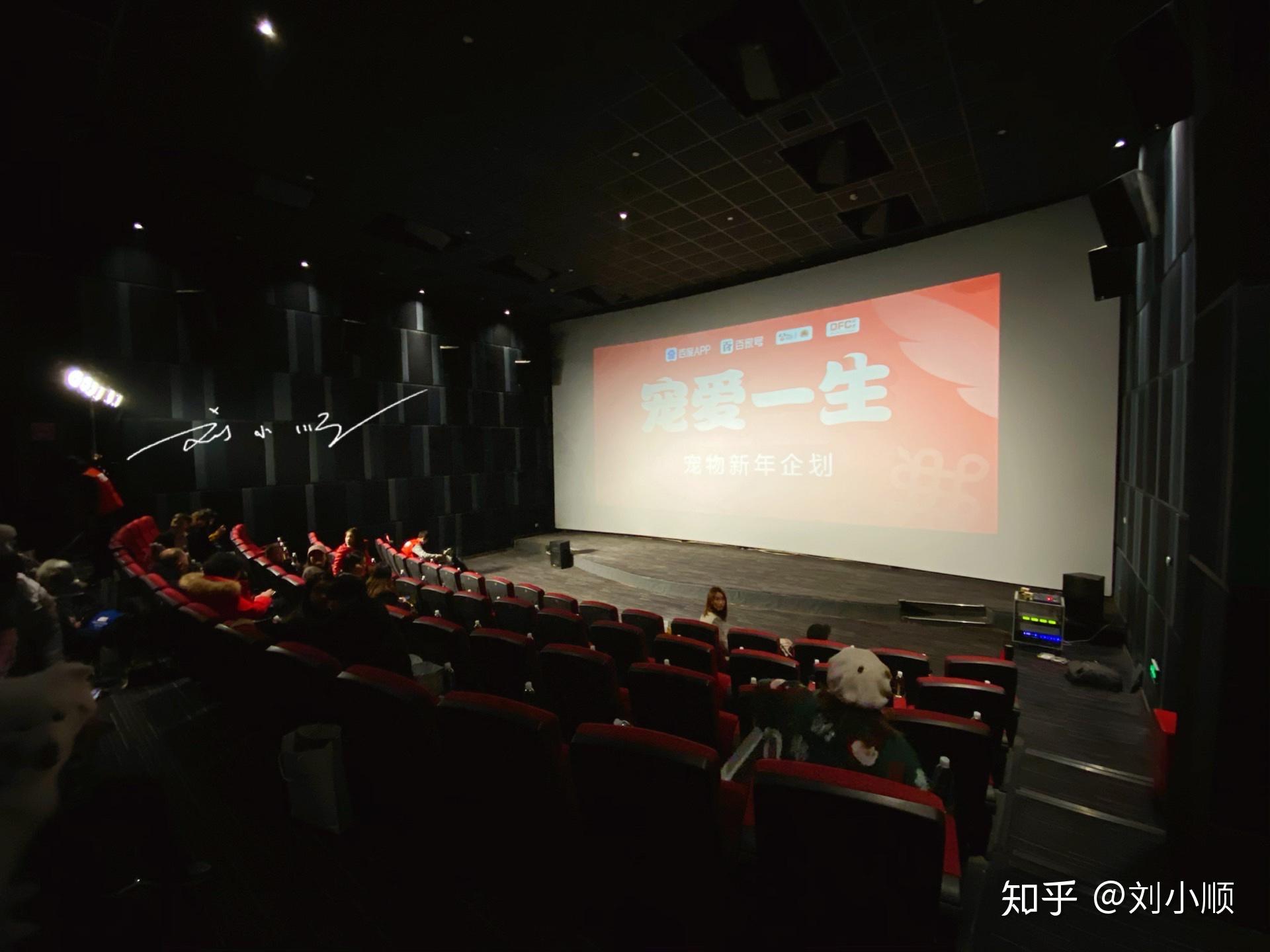 跟一群狗狗在电影院里看电影是什么体验?