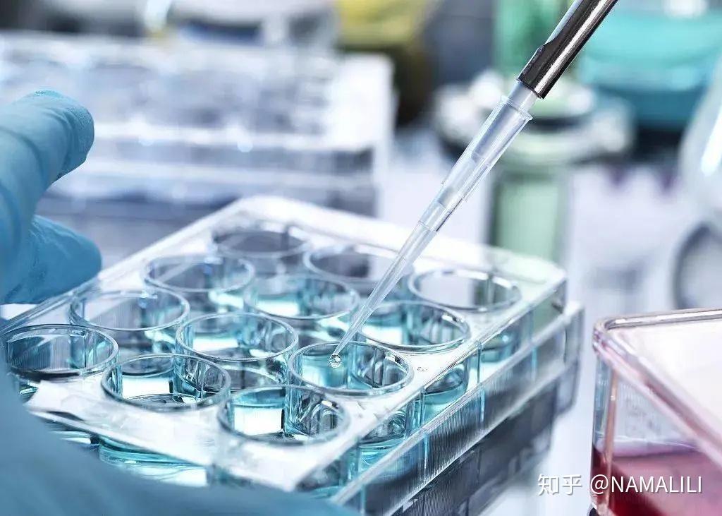干細胞最全的科普(圖8)