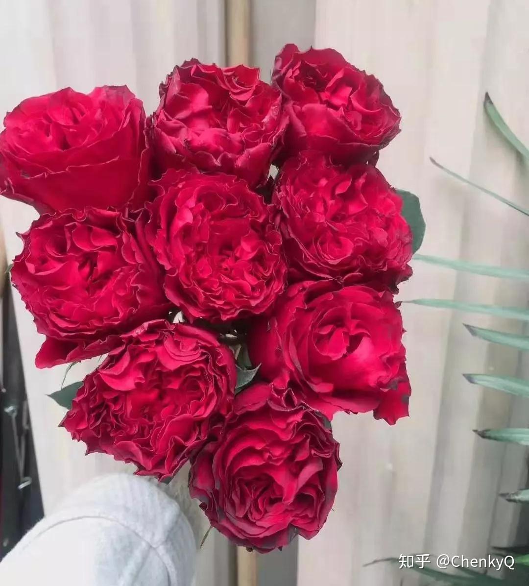 九零玫昂红黑魔术新娘红拂520传奇自由法国红卡罗拉红玫瑰你发的是