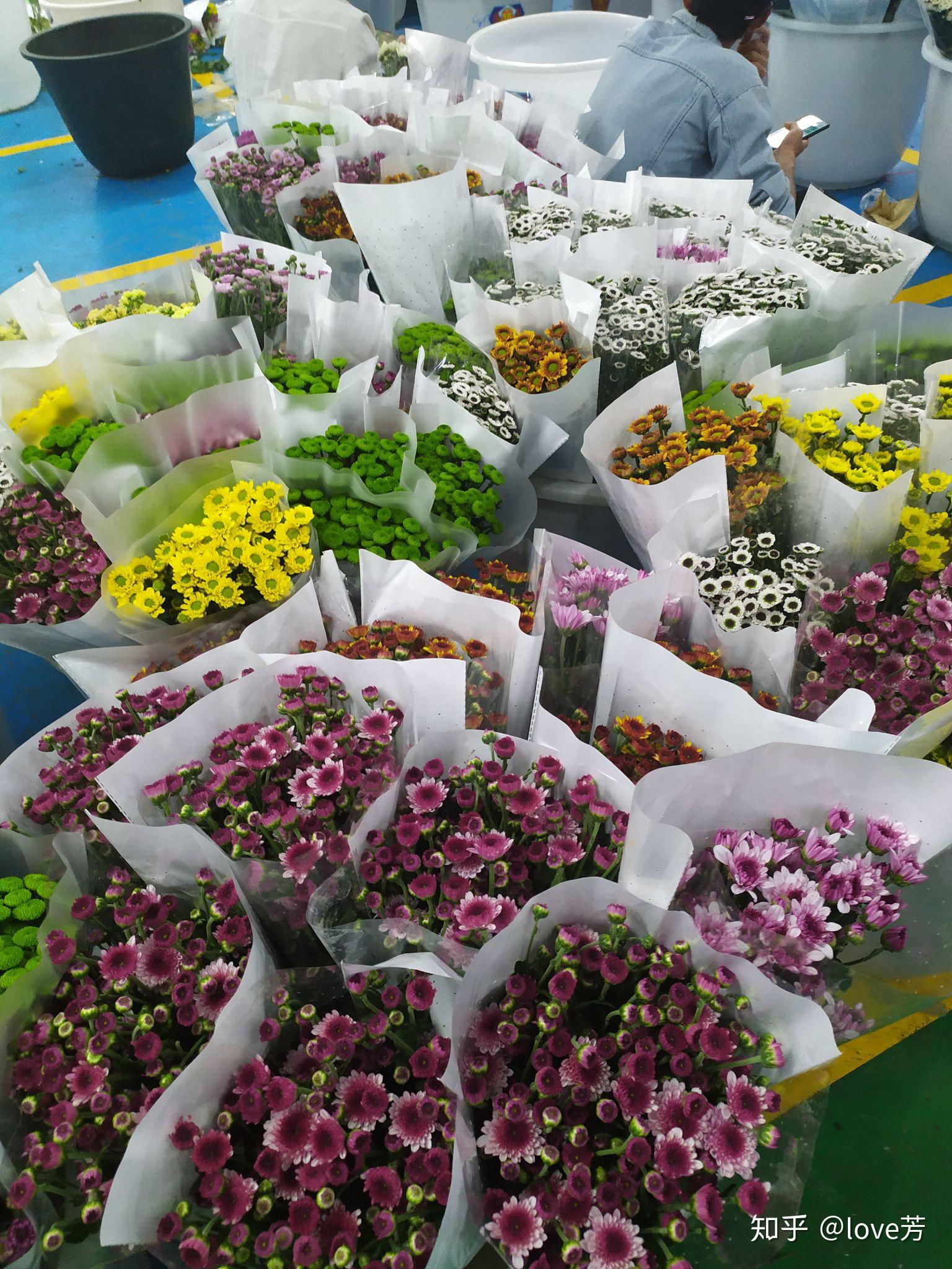 鲜花批发赚钱吗知乎