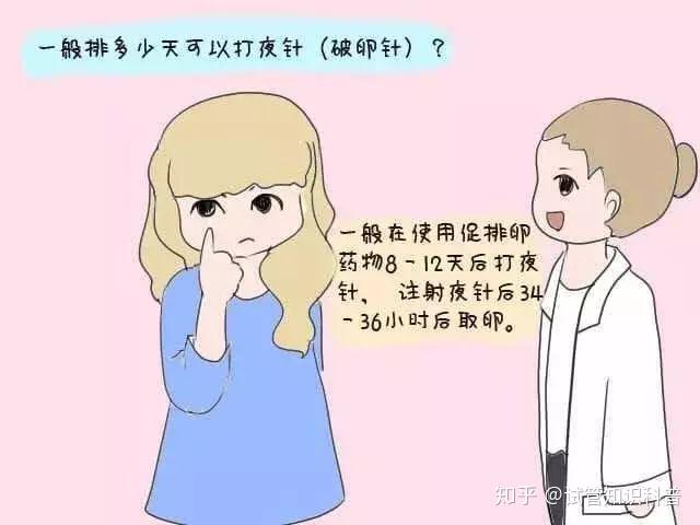 试管婴儿打脂肪乳是管什么的(试管婴儿打脂肪乳是管什么的呢)-第1张图片-鲸幼网