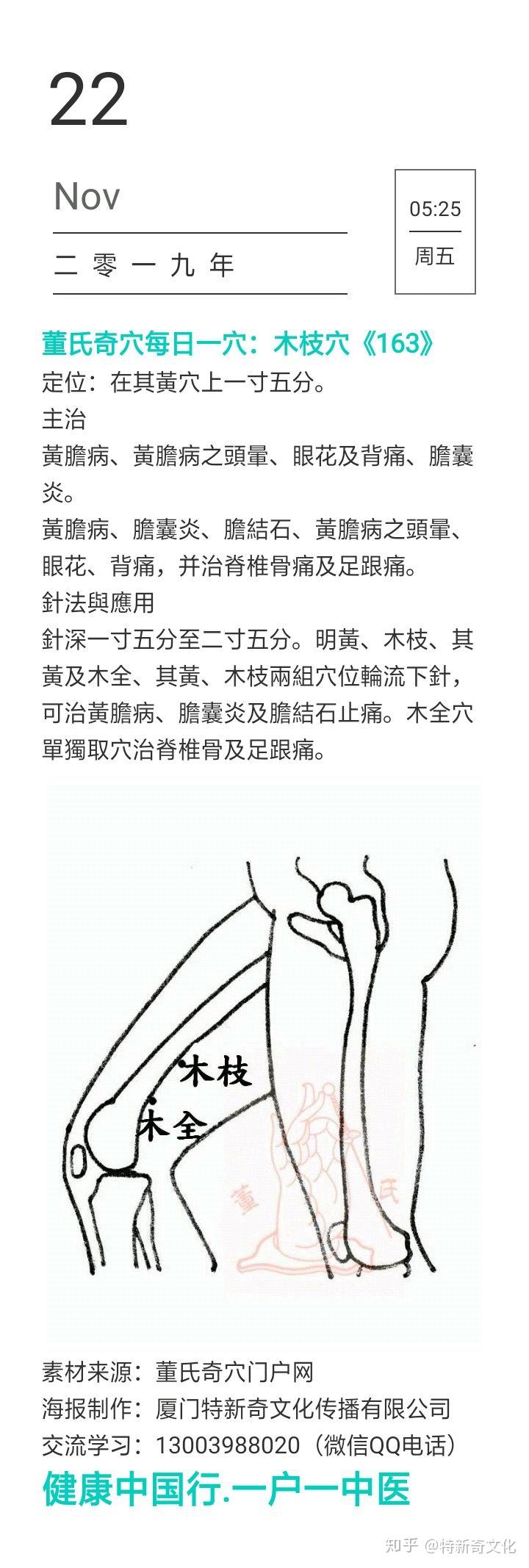 董氏奇穴每日一穴:木枝穴《163》