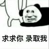图标