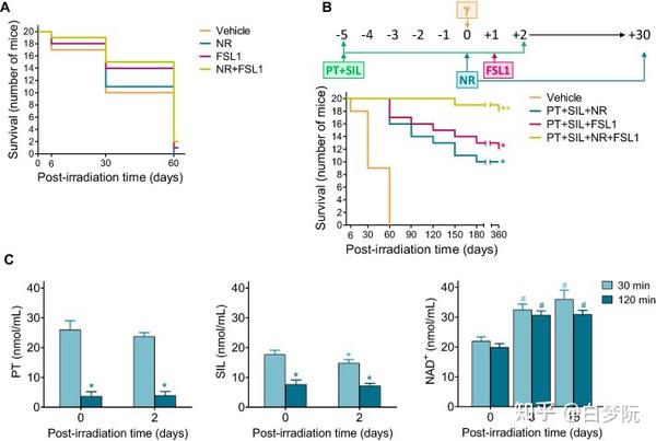 NMN抗苍老是真的吗