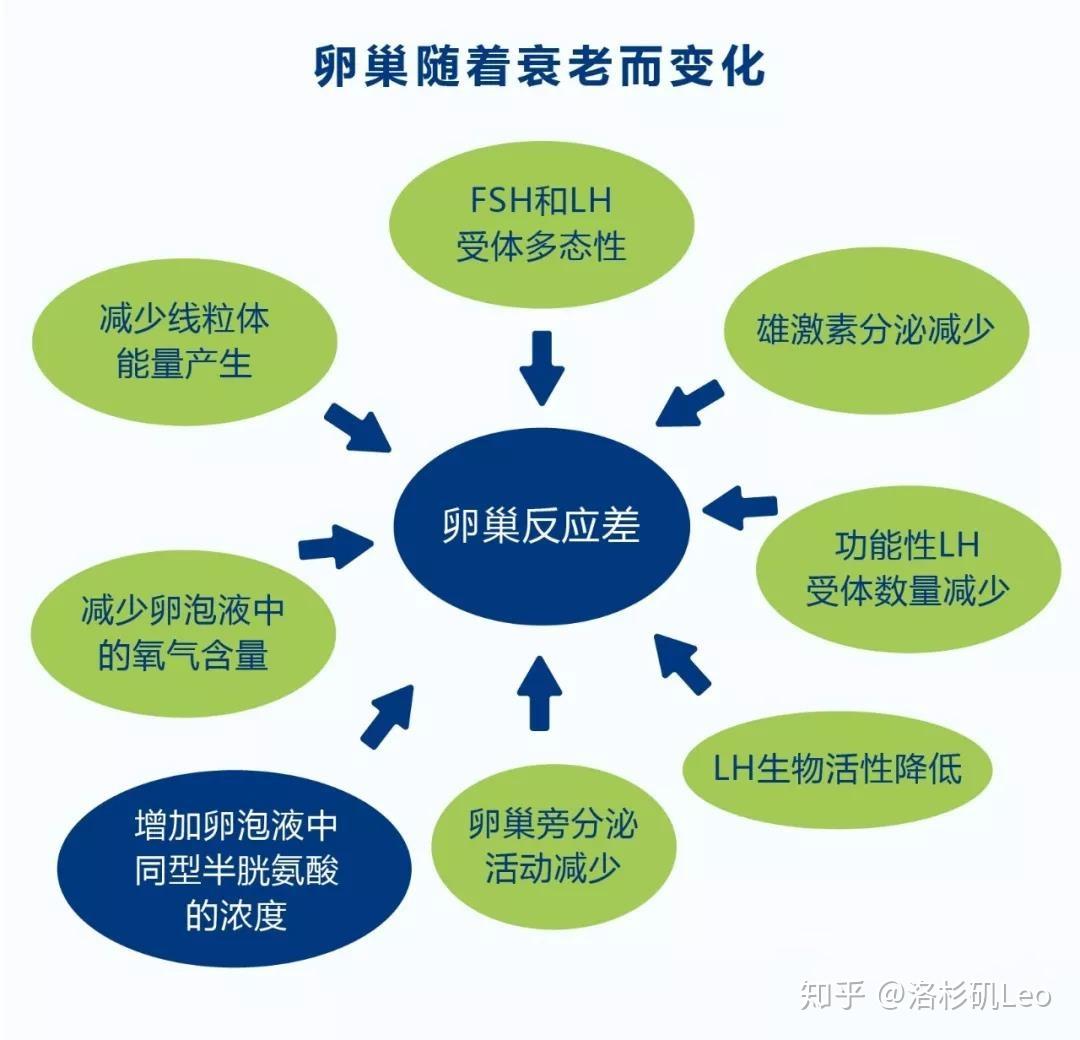促排卵期间如果发现卵巢低反应，怎么办？ 知乎 