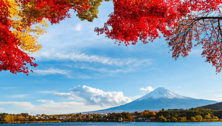 中国人在日本开公司的好处是什么?