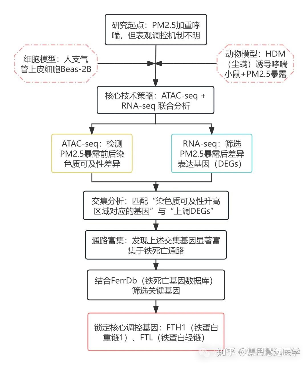 ATAC-seq多组学联用方案指南，解锁基因调控研究新维度！ - 知乎