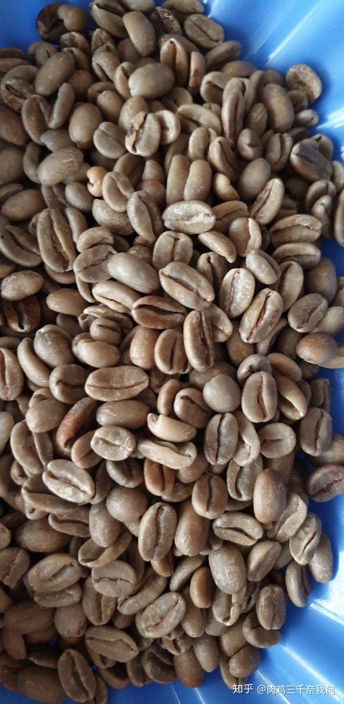 给喜欢手冲咖啡的你第一季美洲单品豆初体验