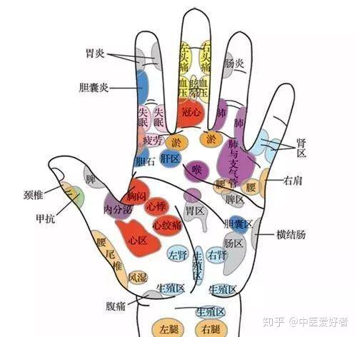 【干货】手诊百病解析图 - 知乎