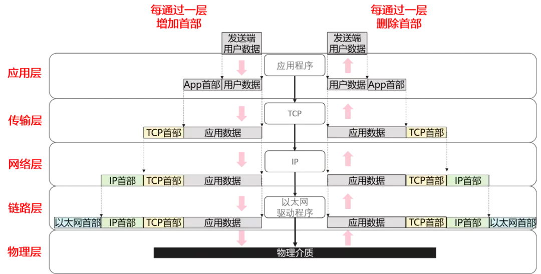 一文理清TCP/IP协议栈的那些“层级” - 知乎