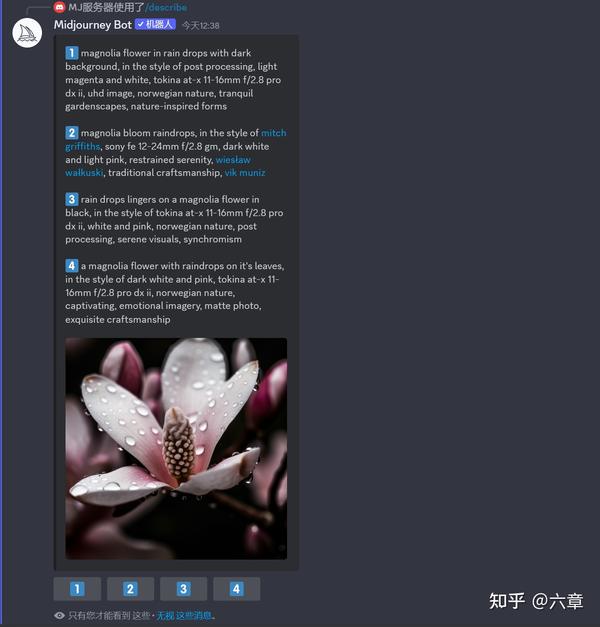 ChatGPT 中文版国内镜像网站免费推荐支持 4oo1 和 GPT42025年7月更新
