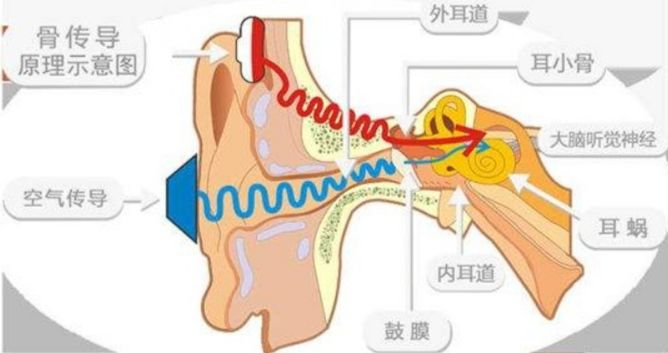 骨传导耳机结构图图片