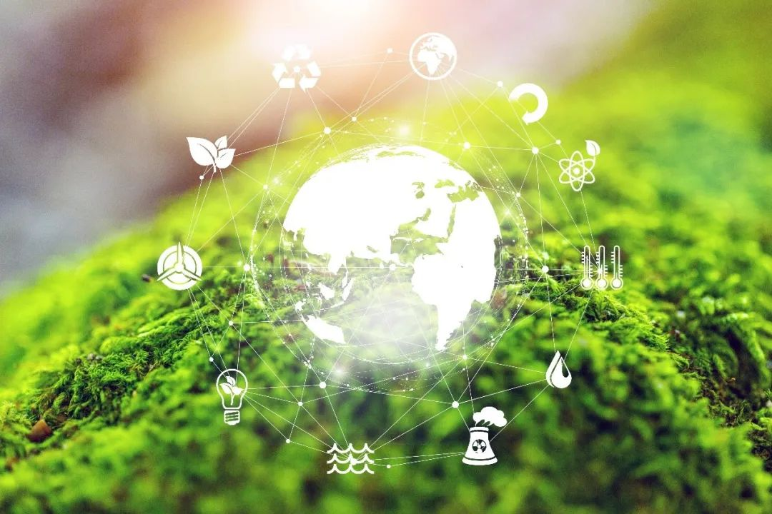 得到该需求后,鸿鹏新能源响应其要求开展绿色低碳技术创新,对其配电室